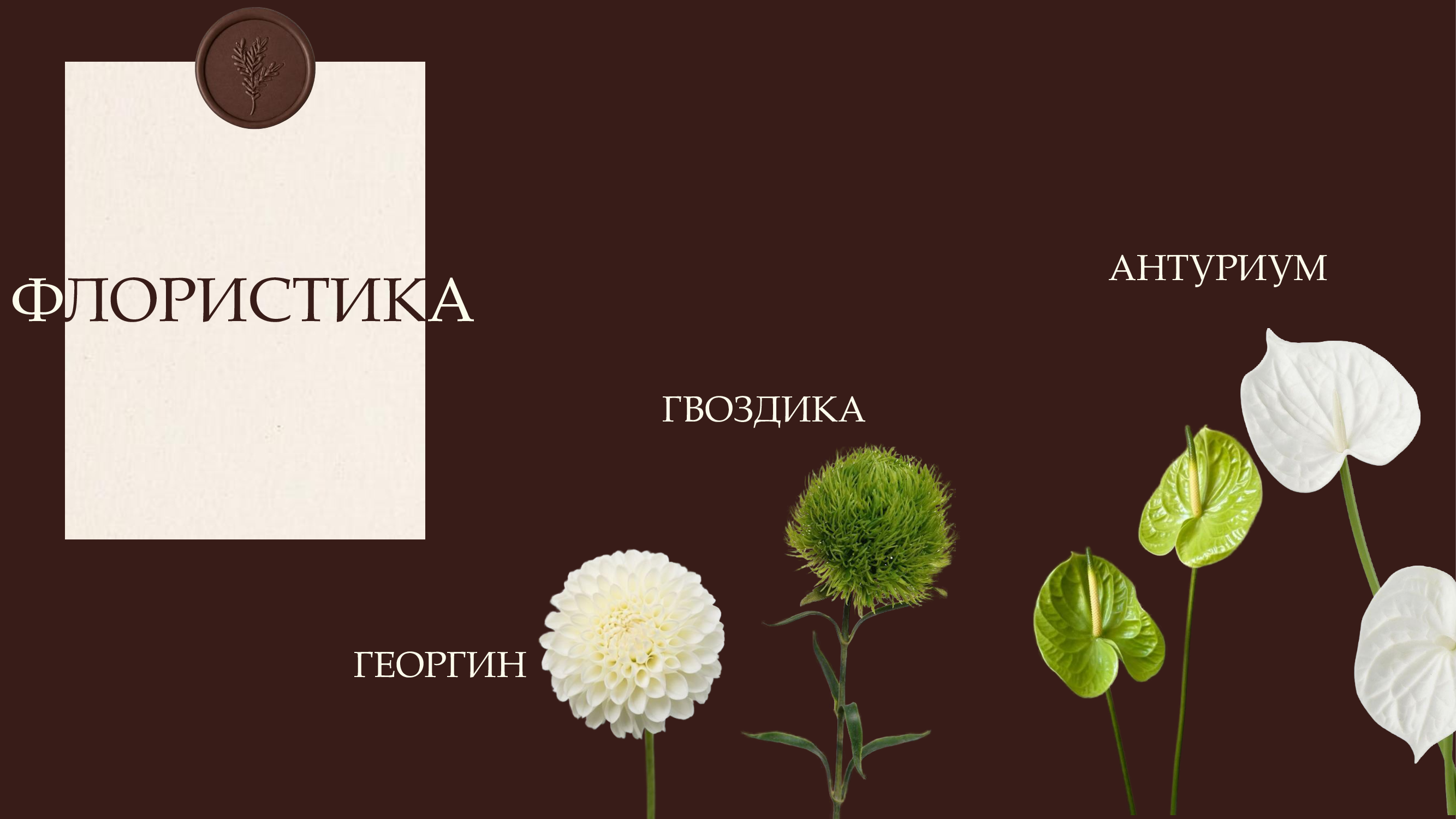 Базовый пакет фото 6