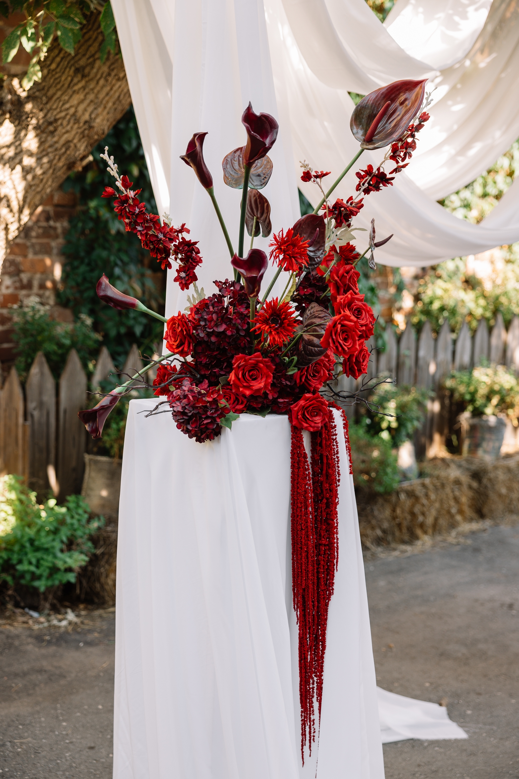 Посольство
                                 loading=