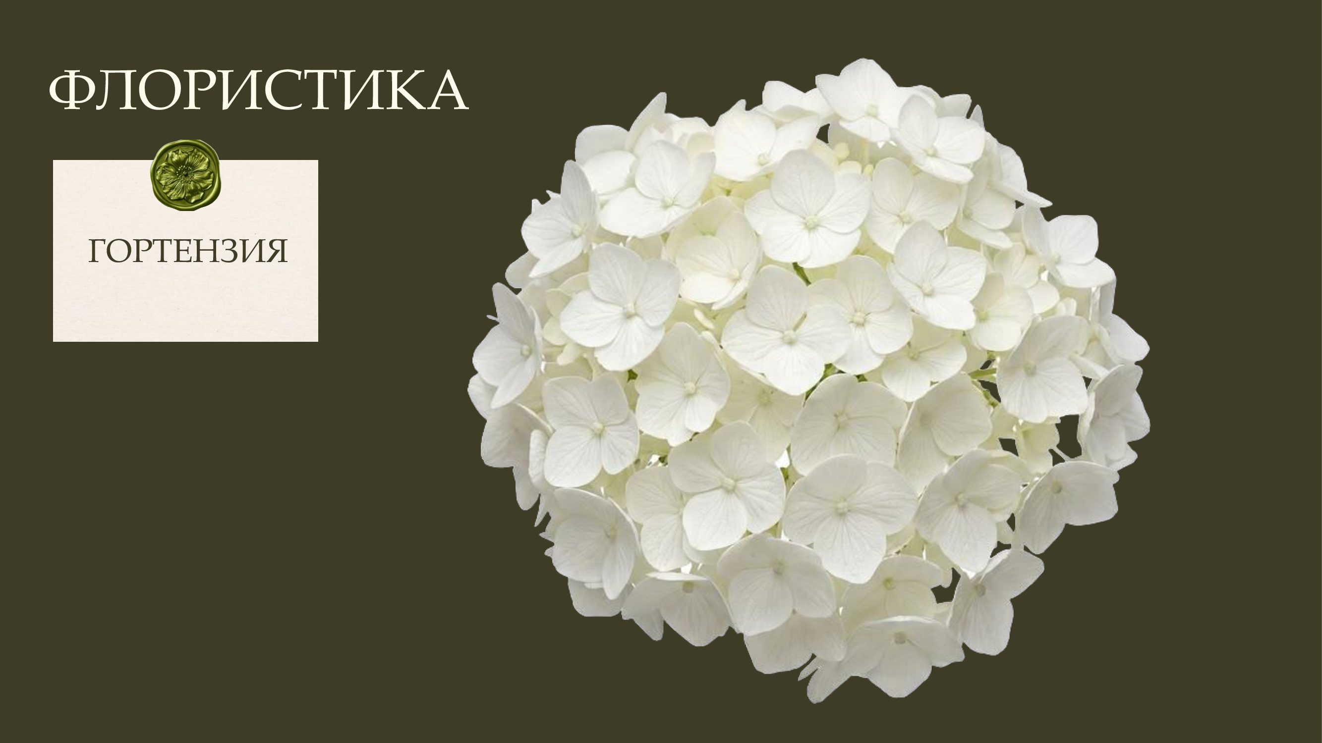 Стандарт пакет фото 7